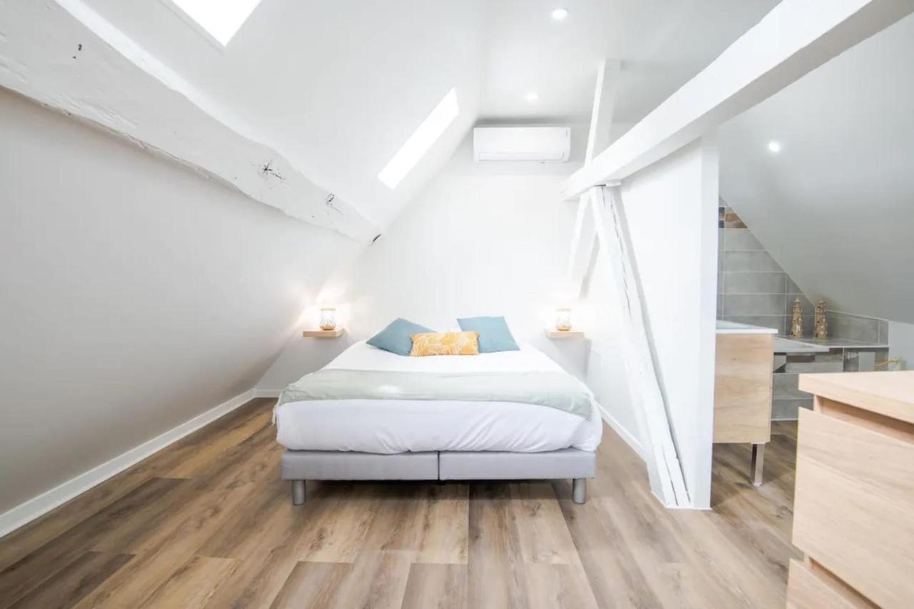 Comfortable Air-Conditioned T3 In The Heart Of Amboise With Parking Space 外观 照片