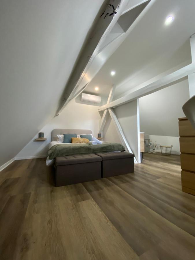Comfortable Air-Conditioned T3 In The Heart Of Amboise With Parking Space 外观 照片